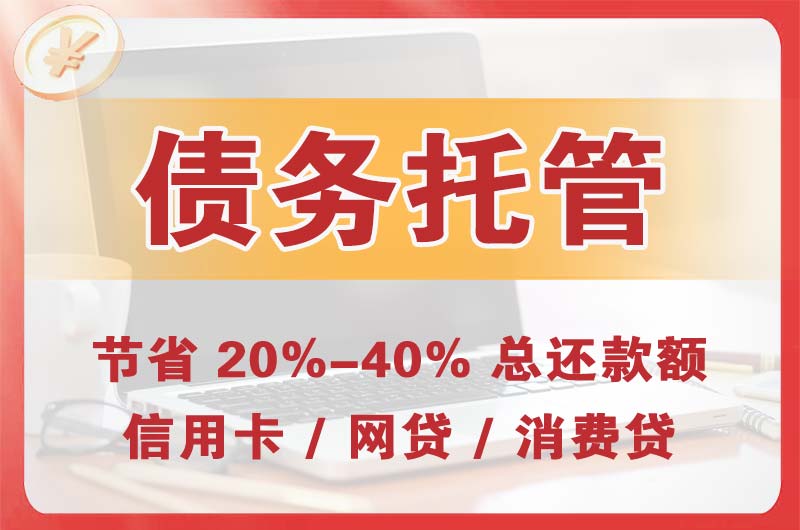 武冈债务托管